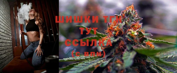 бошки Лагань
