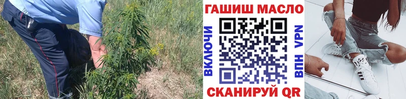 где купить   Кирово-Чепецк  Дистиллят ТГК вейп с тгк 