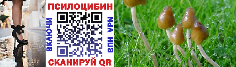 Псилоцибиновые грибы Psilocybine cubensis  Кирово-Чепецк 
