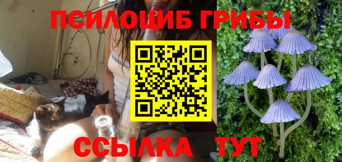 Псилоцибиновые грибы MAGIC MUSHROOMS Кирово-Чепецк