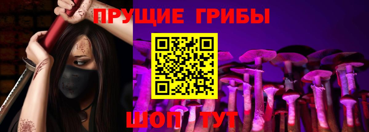 наркота  Вход с VPN  Кирово-Чепецк  Псилоцибиновые грибы Psilocybe 